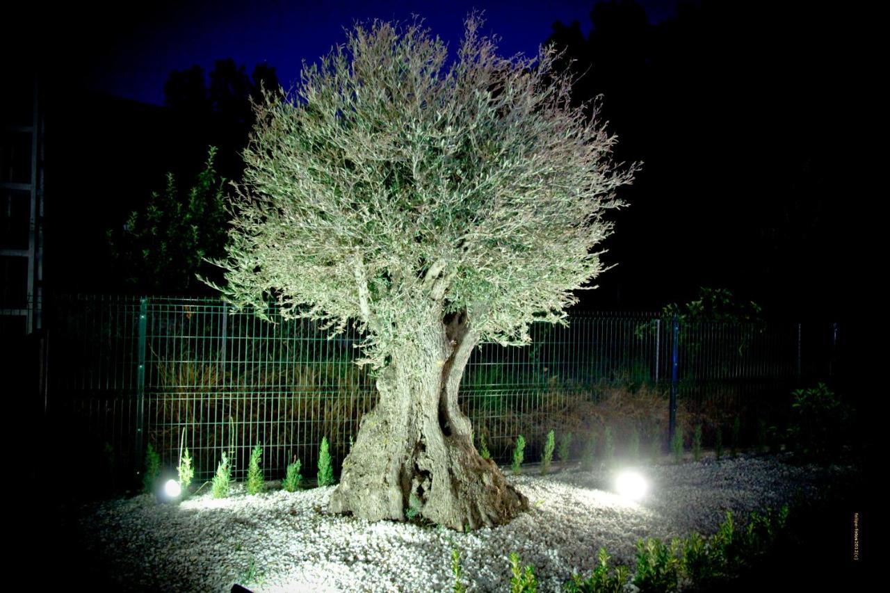 Casas Rurales Los Olivos アルカラ・デル・フカル エクステリア 写真